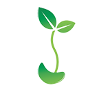 Bean Sprout Bookkeeping